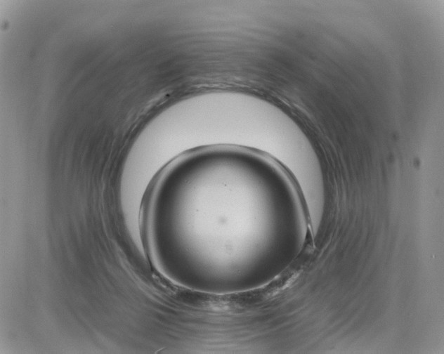 X0000081570264200701291222