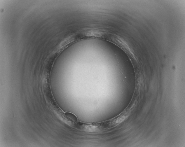 X0000081570265200701291222