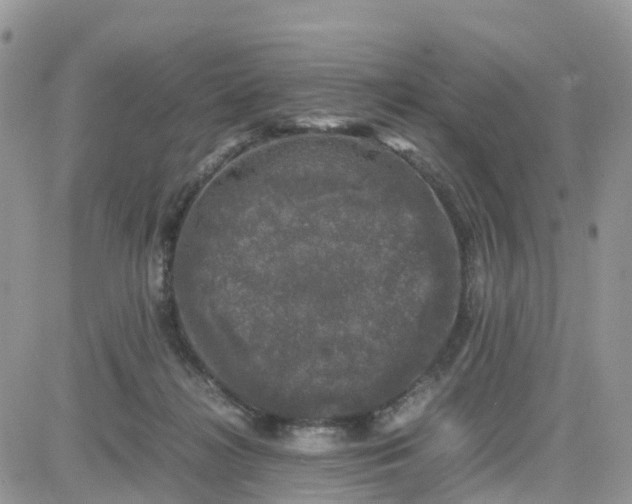 X0000081570268200701291222