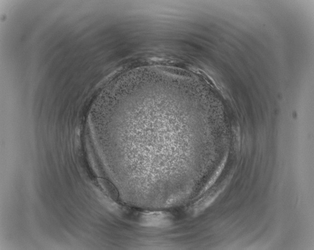 X0000081570269200701291222