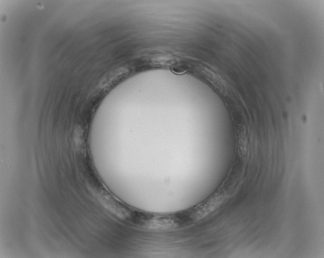 X0000081570270200701291222