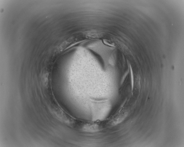 X0000081570271200701291222