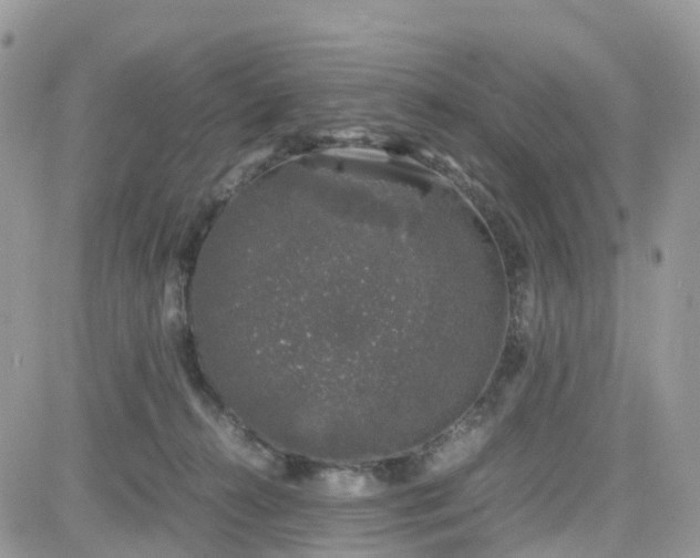 X0000081570272200701291222