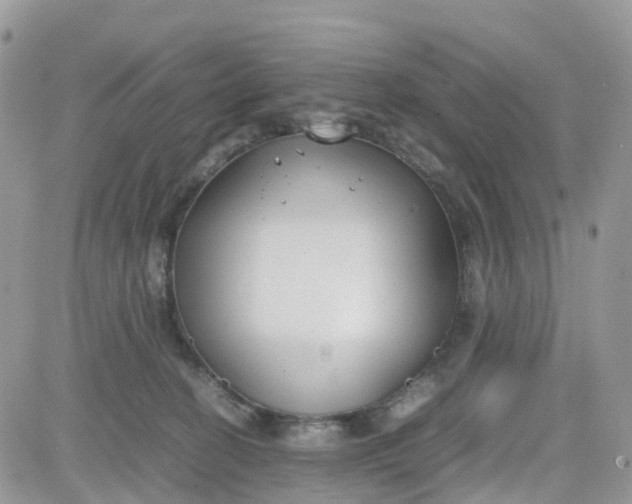 X0000081570274200701291222