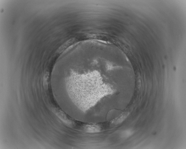 X0000081570275200701291222