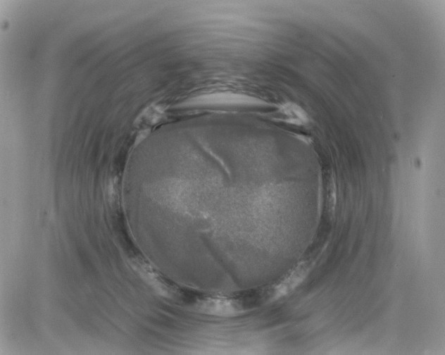 X0000081570276200701291222