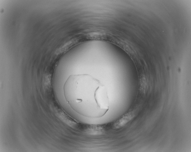 X0000081570278200701291222