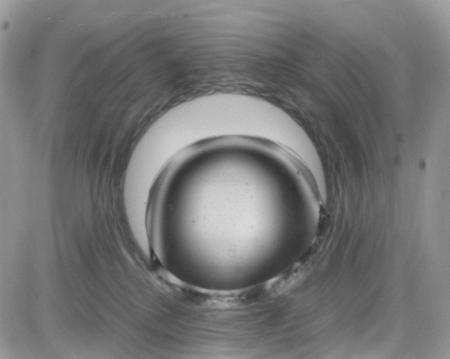 X0000081570280200701291222