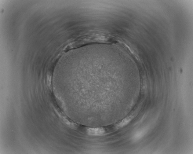 X0000081570281200701291222