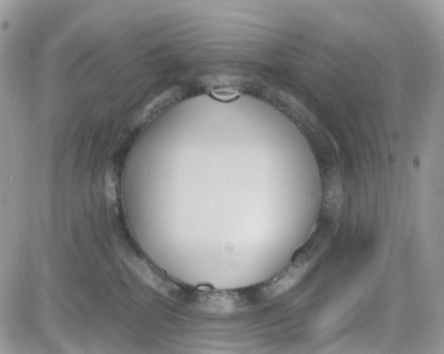 X0000081570282200701291222