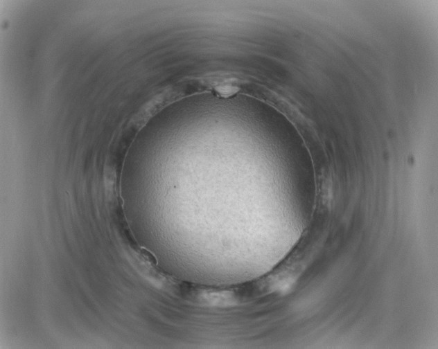 X0000081570283200701291222