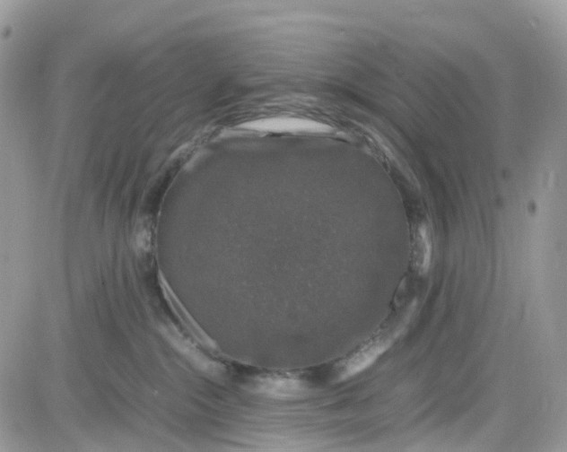 X0000081570284200701291222