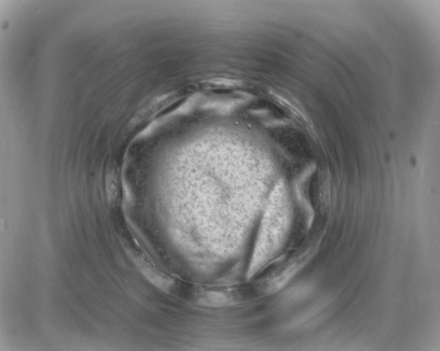 X0000081570285200701291222