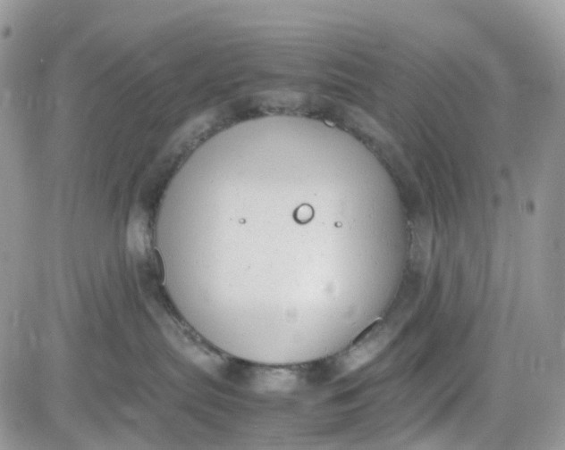 X0000081570287200701291222