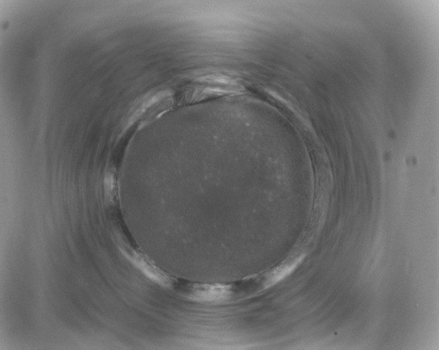 X0000081570288200701291222