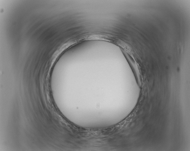 X0000081570289200701291222