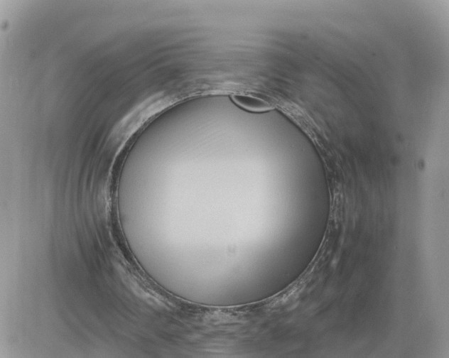 X0000081570290200701291222