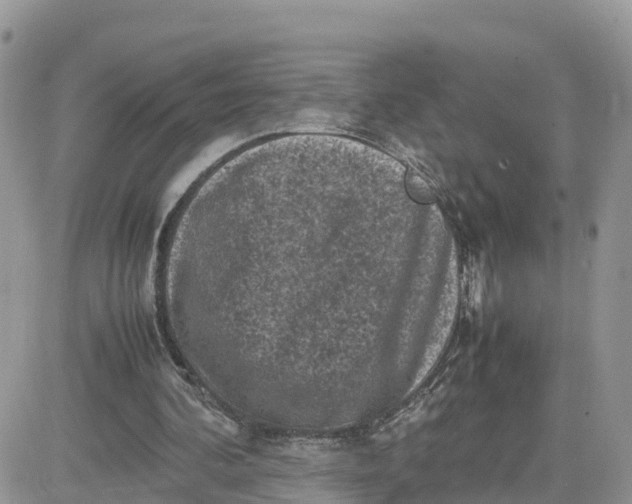 X0000081570292200701291222