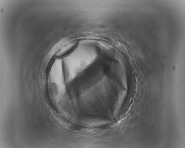 X0000081570295200701291222