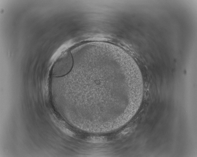 X0000081570296200701291222