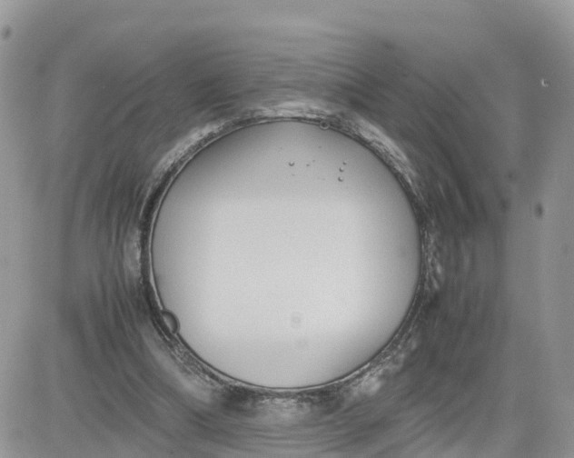 X0000081570298200701291222