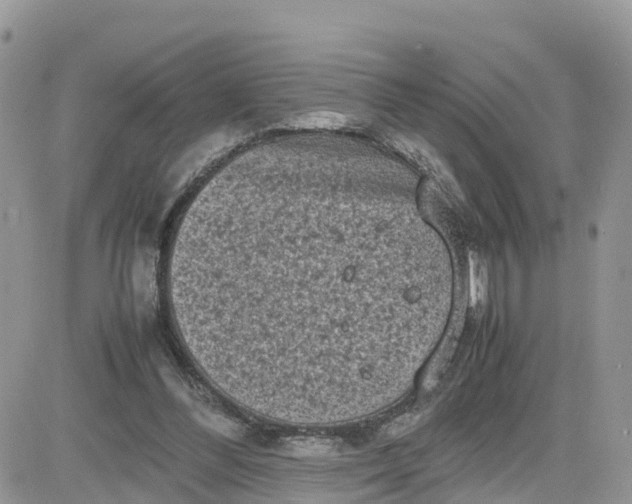 X0000081570300200701291222