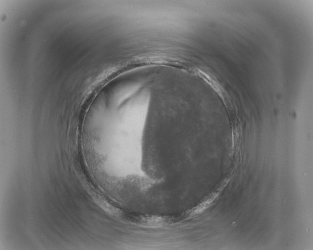 X0000081570301200701291222