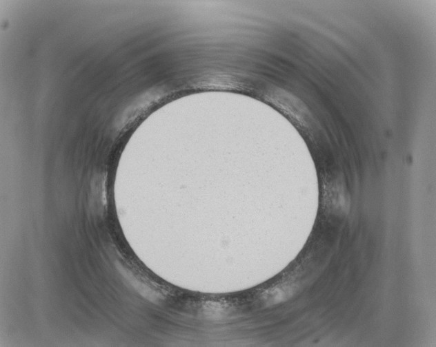 X0000081570302200701291221