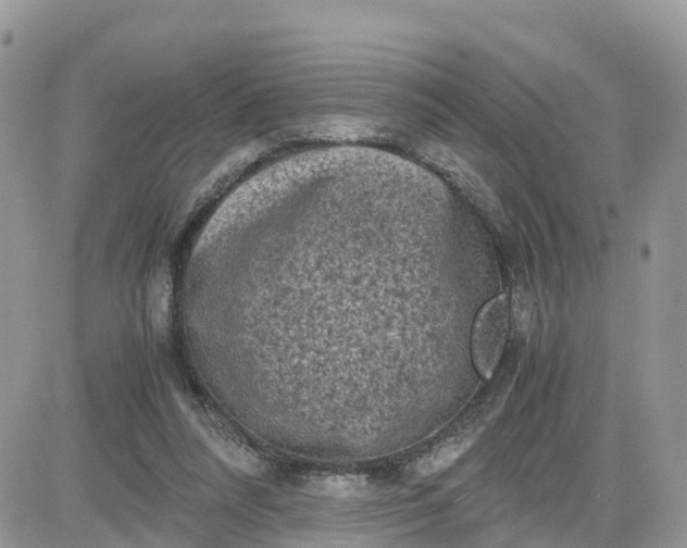 X0000081570304200701291221