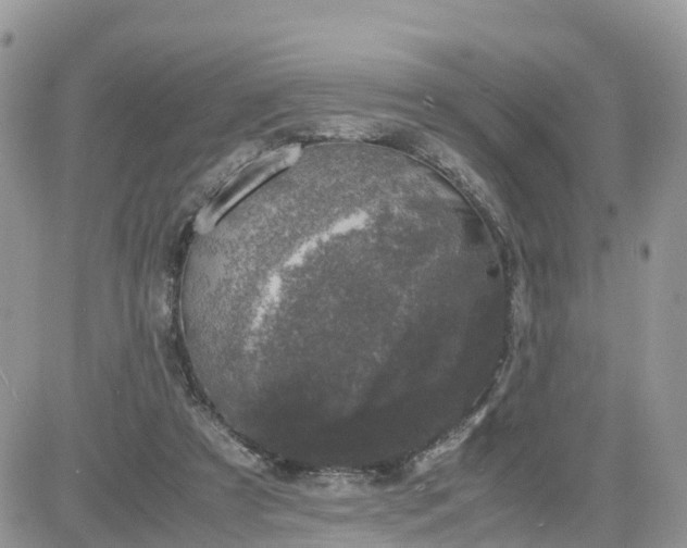 X0000081570305200701291221