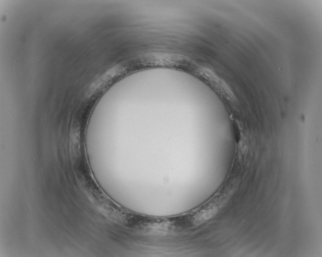 X0000081570306200701291221