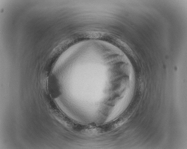 X0000081570307200701291221