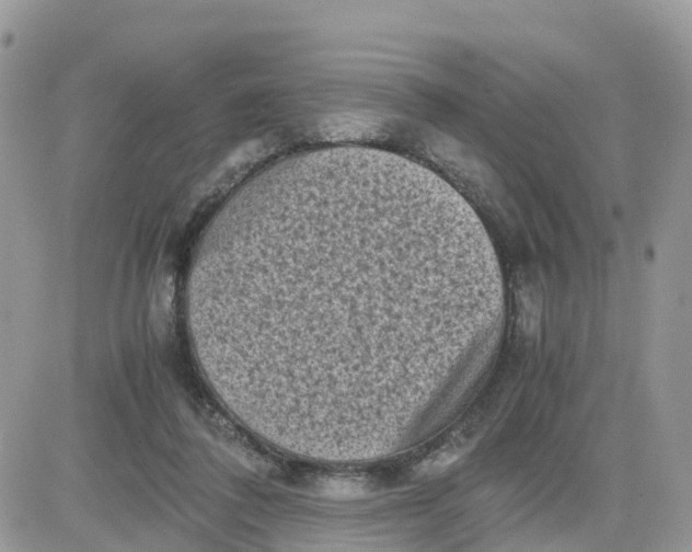 X0000081570308200701291221