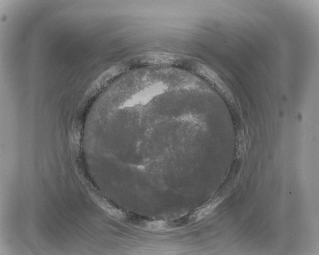 X0000081570309200701291221