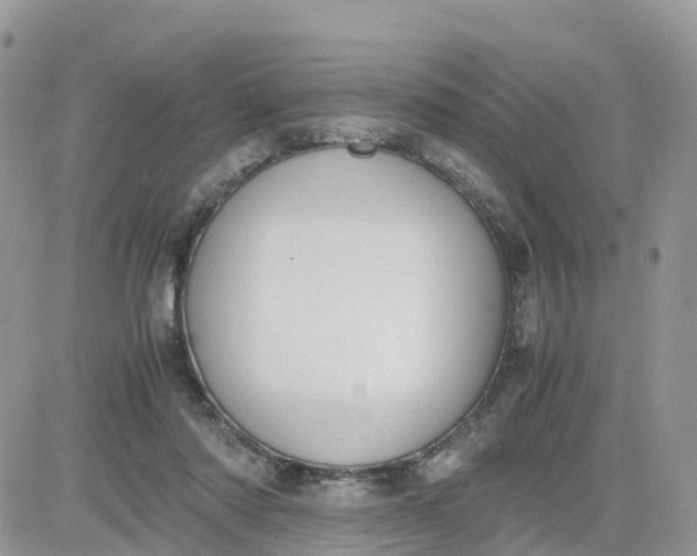 X0000081570310200701291221