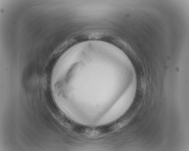 X0000081570311200701291221