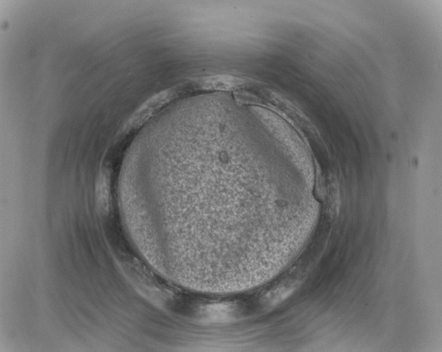 X0000081570312200701291221