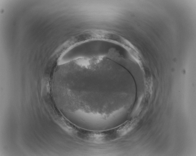 X0000081570313200701291221