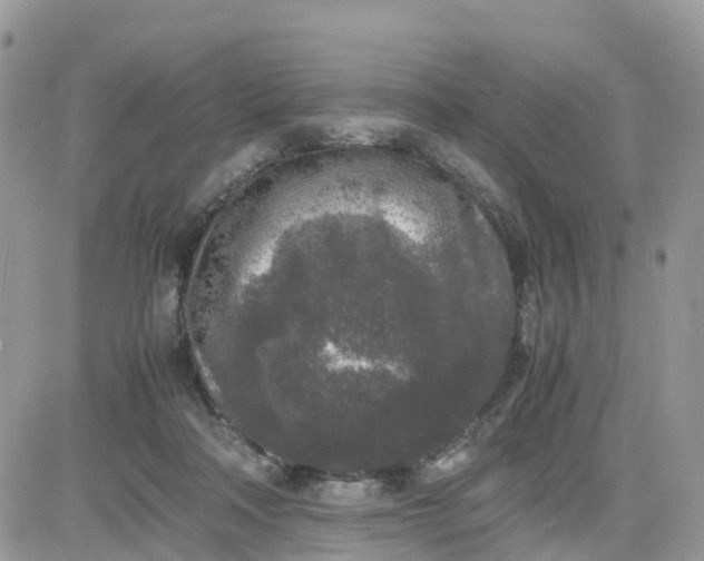 X0000081570314200701291221