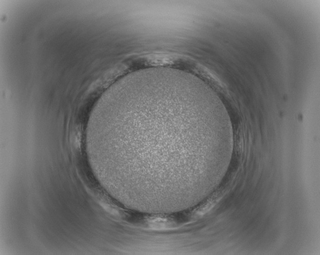 X0000081570315200701291221