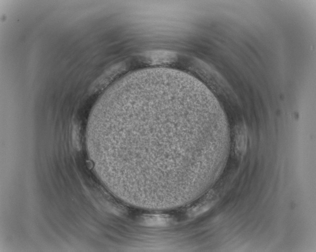 X0000081570316200701291221