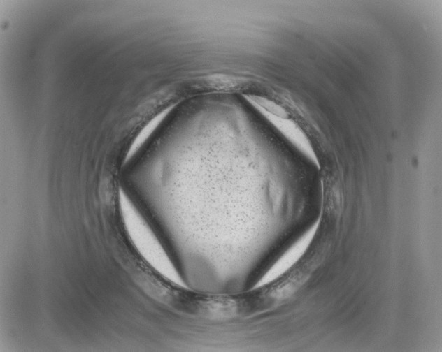 X0000081570317200701291221