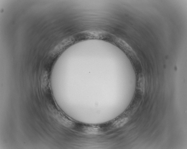 X0000081570318200701291221