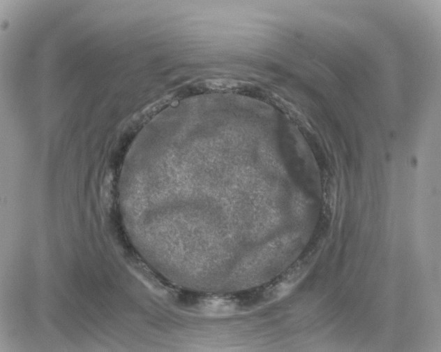 X0000081570319200701291221