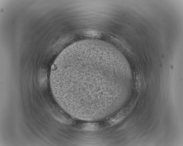 X0000081570320200701291221