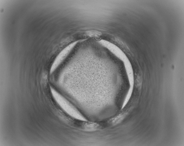 X0000081570321200701291221