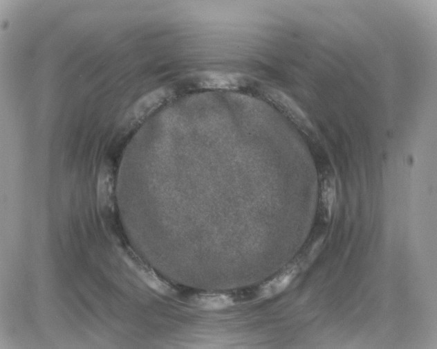 X0000081570322200701291221