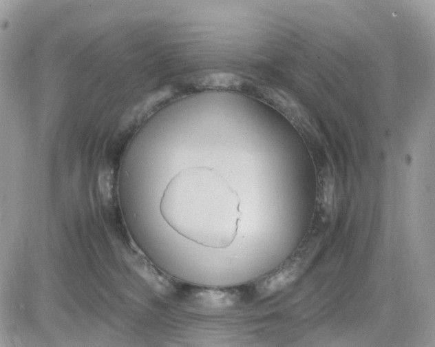 X0000081570326200701291221