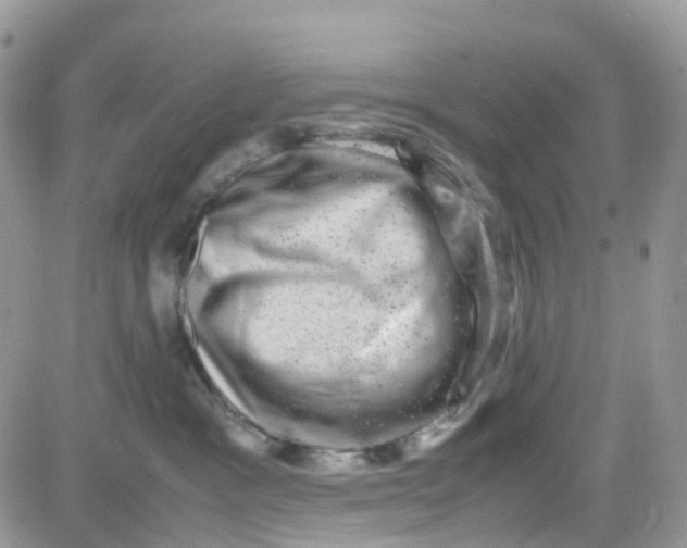 X0000081570333200701291221