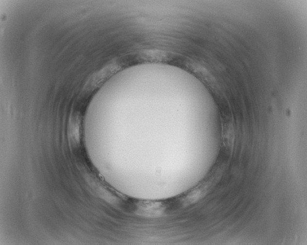 X0000081570334200701291221